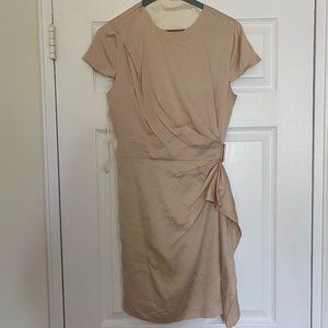 Diane Von Furstenberg Nude Ruched Dress